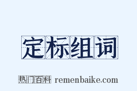 定标组词是什么意思的图片